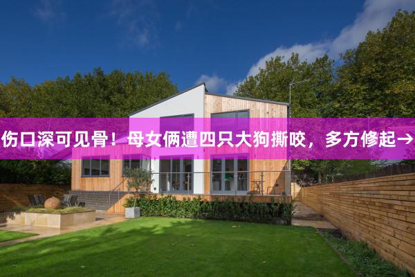 伤口深可见骨！母女俩遭四只大狗撕咬，多方修起→